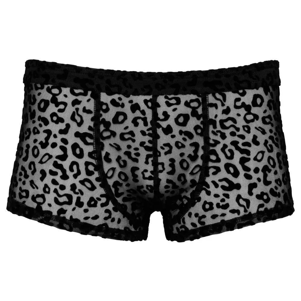 Noir Sheer Animal Print Pants - Rapture Works