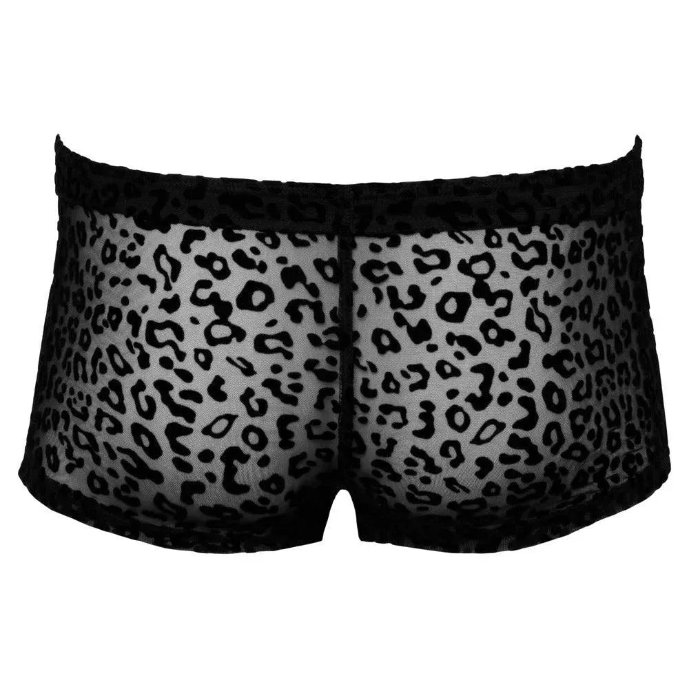 Noir Sheer Animal Print Pants - Rapture Works