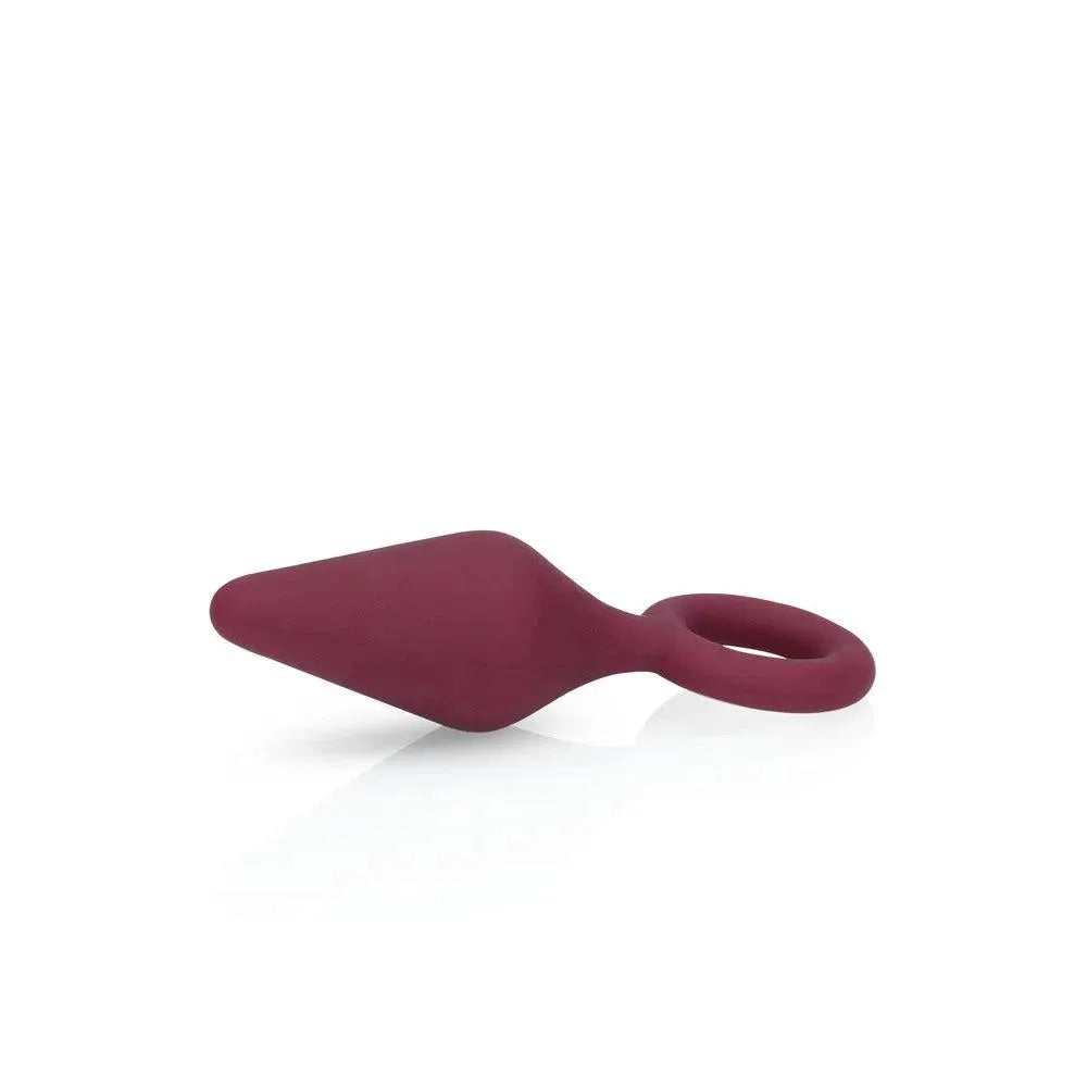 Sexplore Toy Kit for Her - Rapture Works