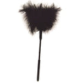 FEATHER TICKLER
