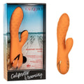 CALIFORNIA DREAMING® NEWPORT BEACH BABE