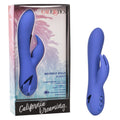CALIFORNIA DREAMING® BEVERLY HILLS BUNNY