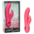 CALIFORNIA DREAMING® SAN FRANCISCO SWEETHEART