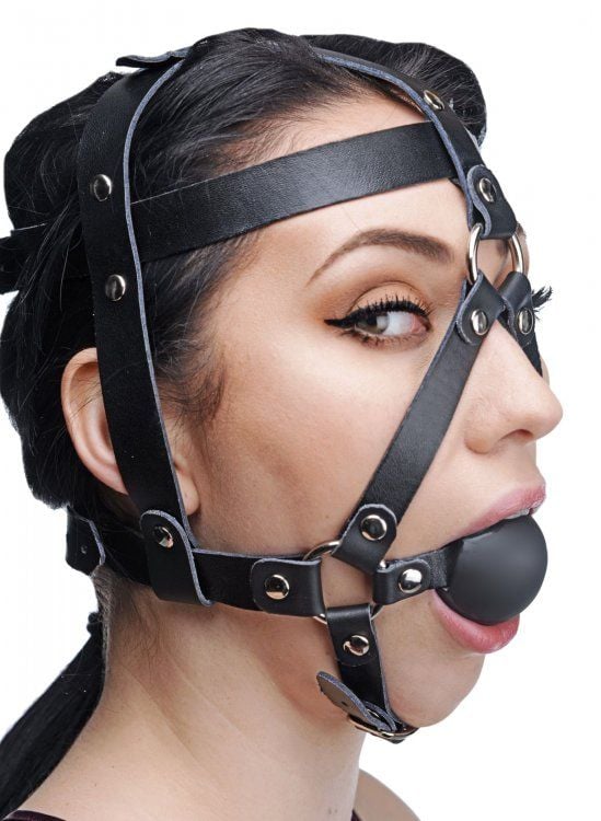 Leather Head Harness With Ball Gag – angled view