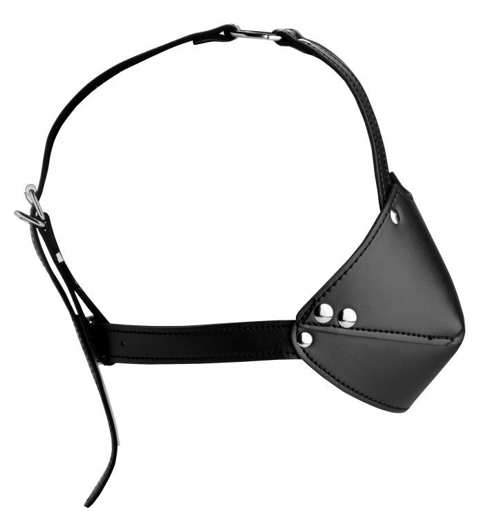 Mouth Harness With Ball Gag – additional view