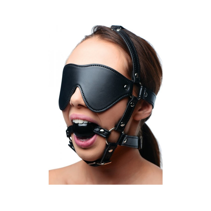 Blindfold Harness + Ball Gag – additional view