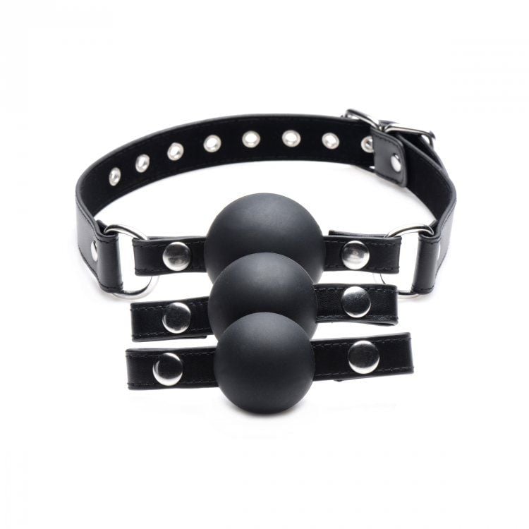 Interchangeable Ball Gag Set – additional view