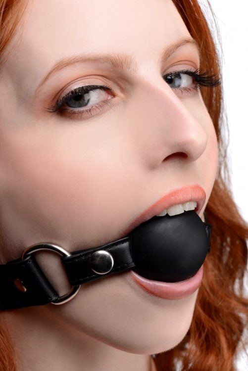 Interchangeable Ball Gag Set – additional view