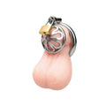 STAINLESS STEEL TURTLE HEAD CHASTITY CAGE
