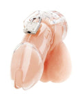 ACRYLIC SEE-THRU CHASTITY CAGE