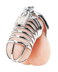 DELUXE CHASTITY CAGE