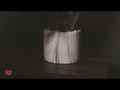 THE BED-SPREADER