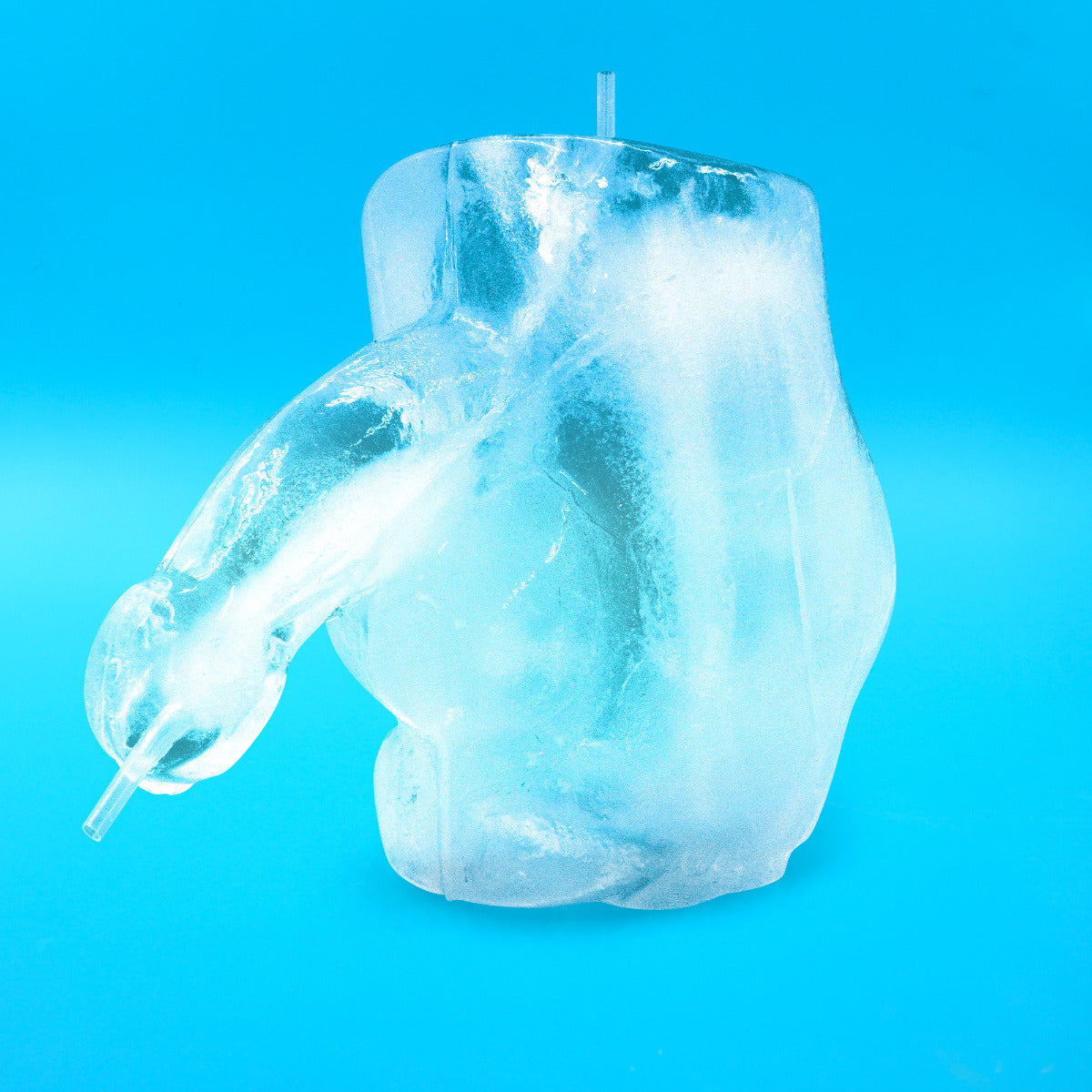 Huge Penis Ice Luge – product detail view