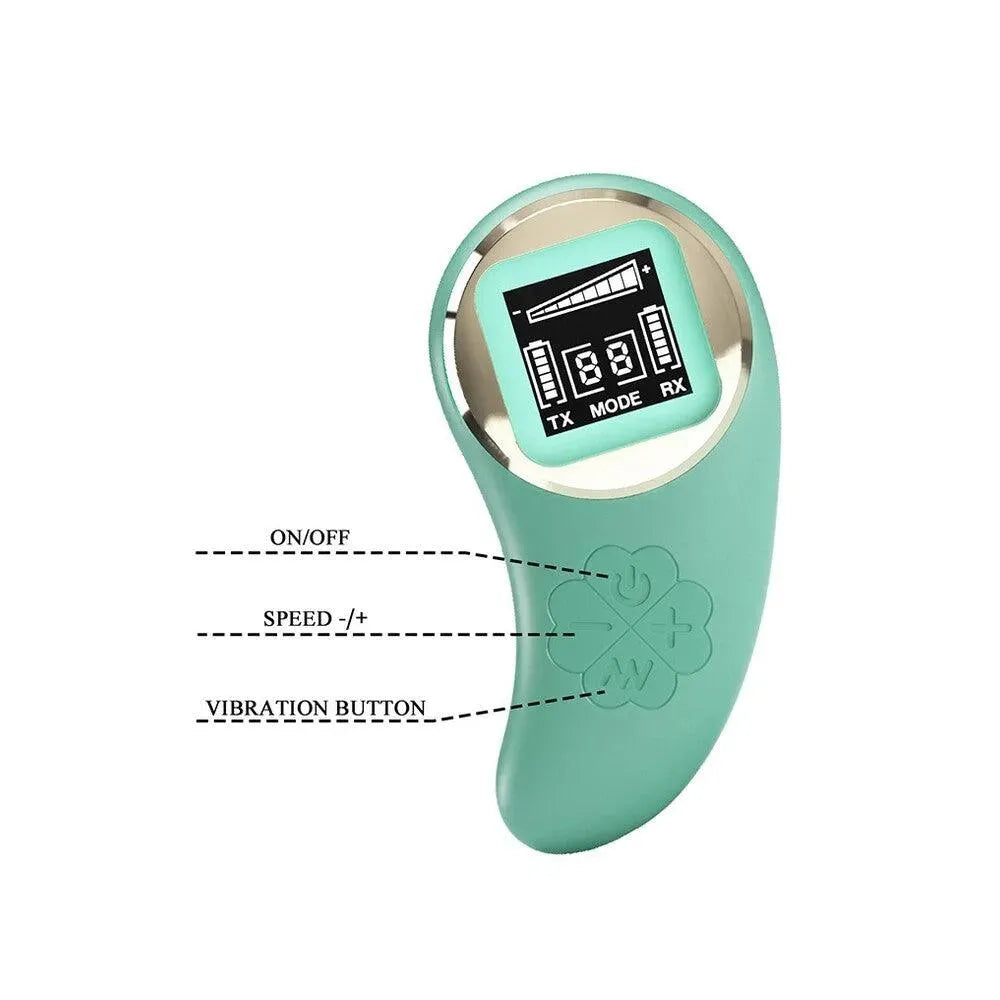 Pretty Love Vivan Remote Control Egg Vibrator - Rapture Works
