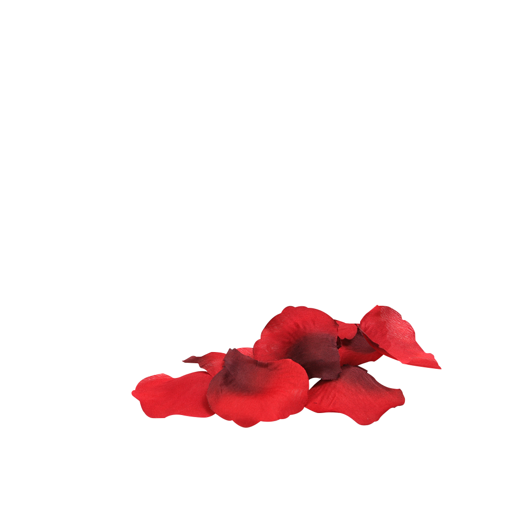 Creative Conceptions You &amp; Me On A Bed Of Roses! – additional product view