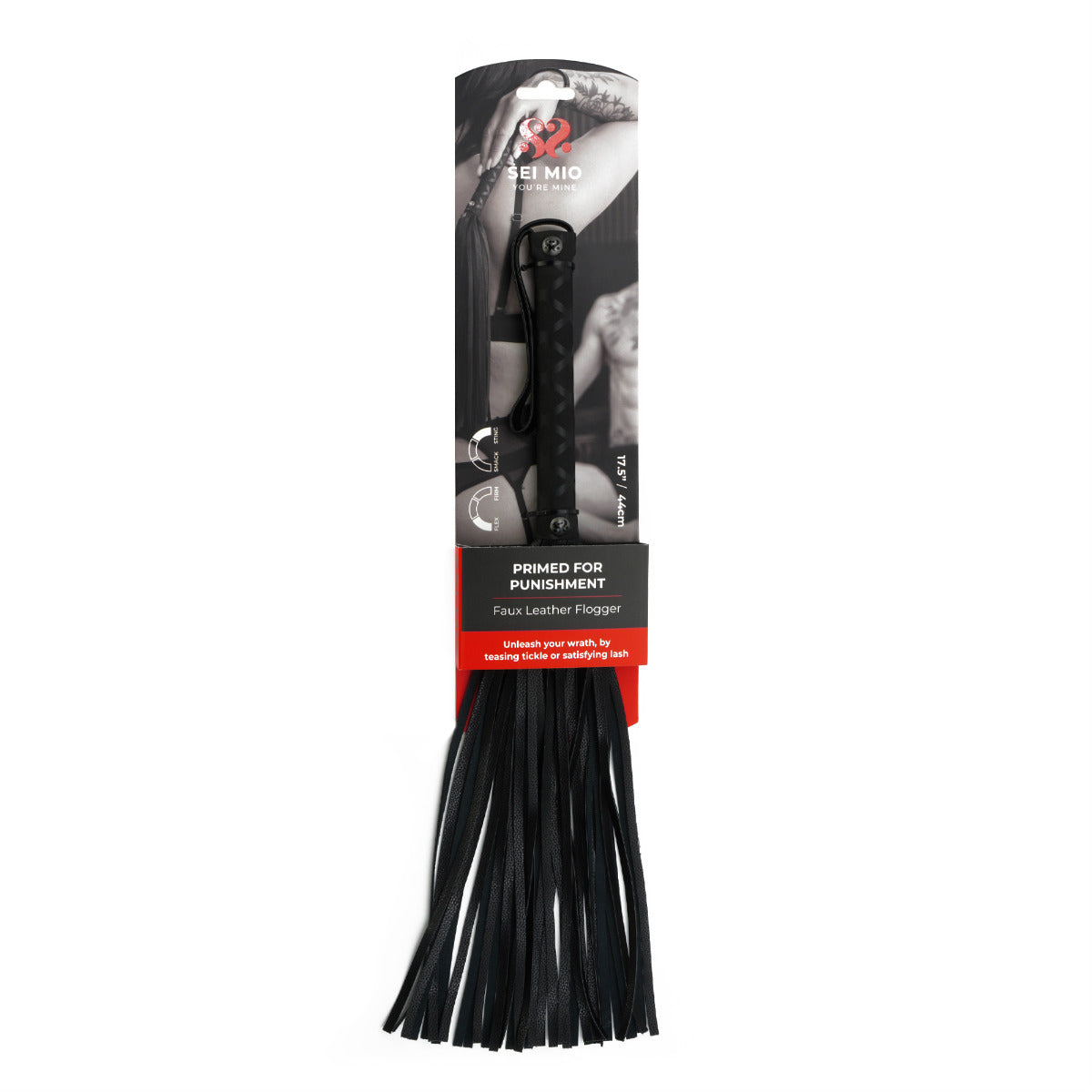 Primed for Punishment – alternate view
