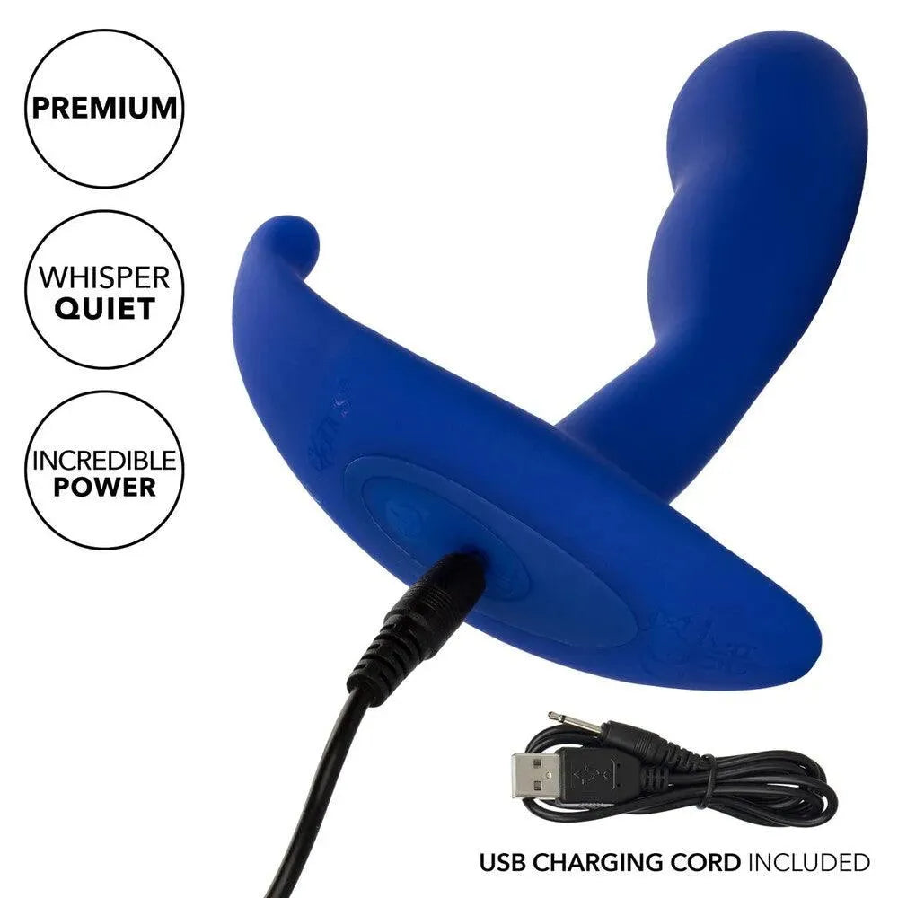 Admiral Advanced Curved Probe - Rapture Works