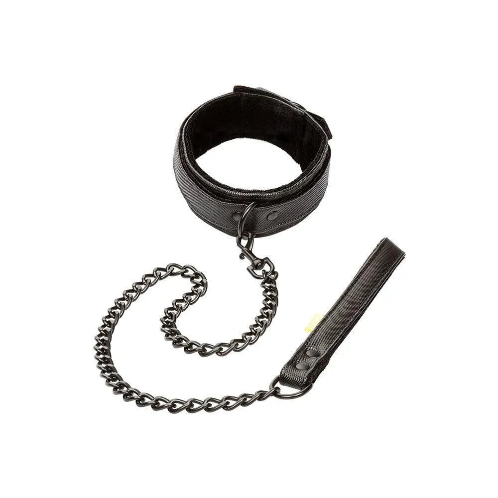 Boundless Collar and Leash - Rapture Works