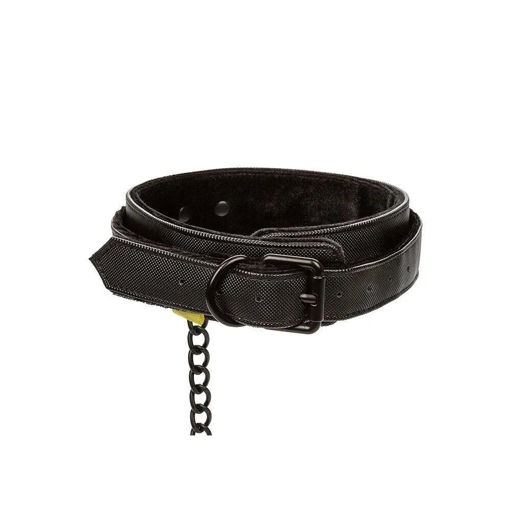 Boundless Collar and Leash - Rapture Works