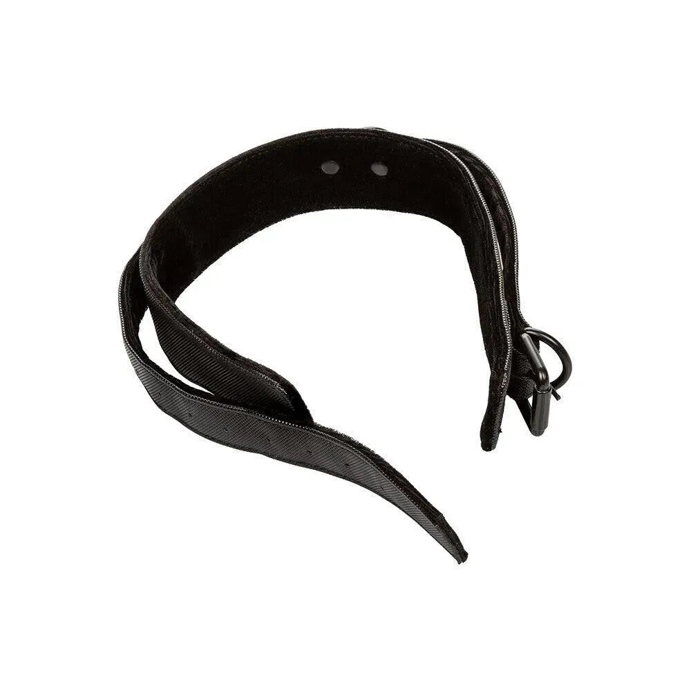 Boundless Collar and Leash - Rapture Works