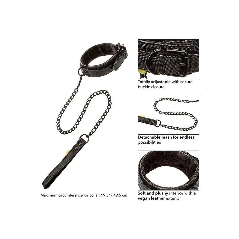 Boundless Collar and Leash - Rapture Works
