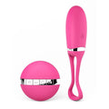 SECRET DELIGHT VOICE CONTROL VIBRATING EGG