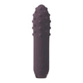 DUET BULLET VIBRATOR
