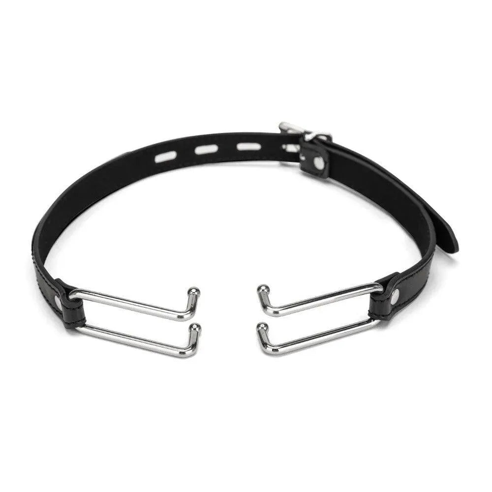 Me You Us Spider Stretch Gag 2 - Rapture Works