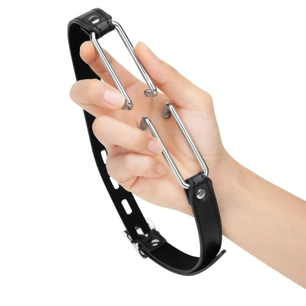 Me You Us Spider Stretch Gag 2 - Rapture Works
