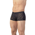PATTERNED SHEER BRIEFS