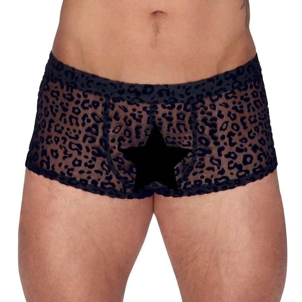 Noir Sheer Animal Print Pants - Rapture Works