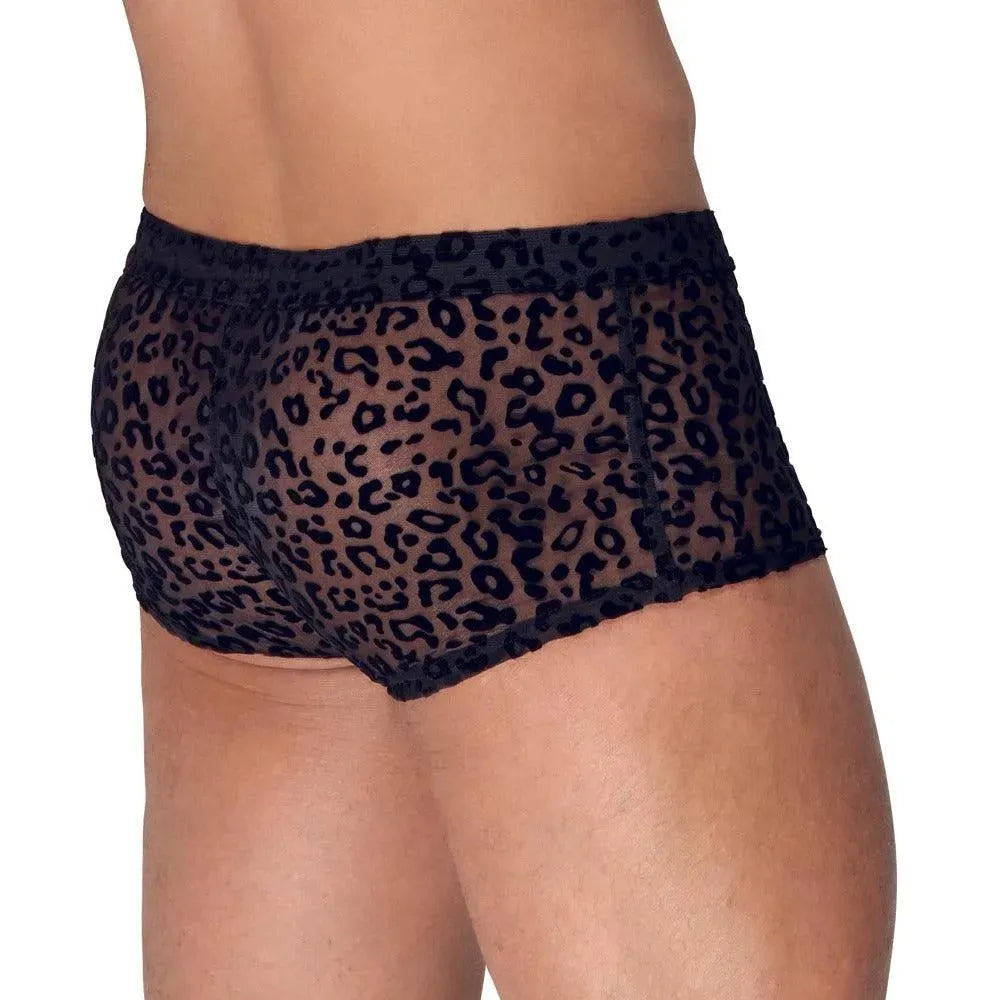 Noir Sheer Animal Print Pants - Rapture Works