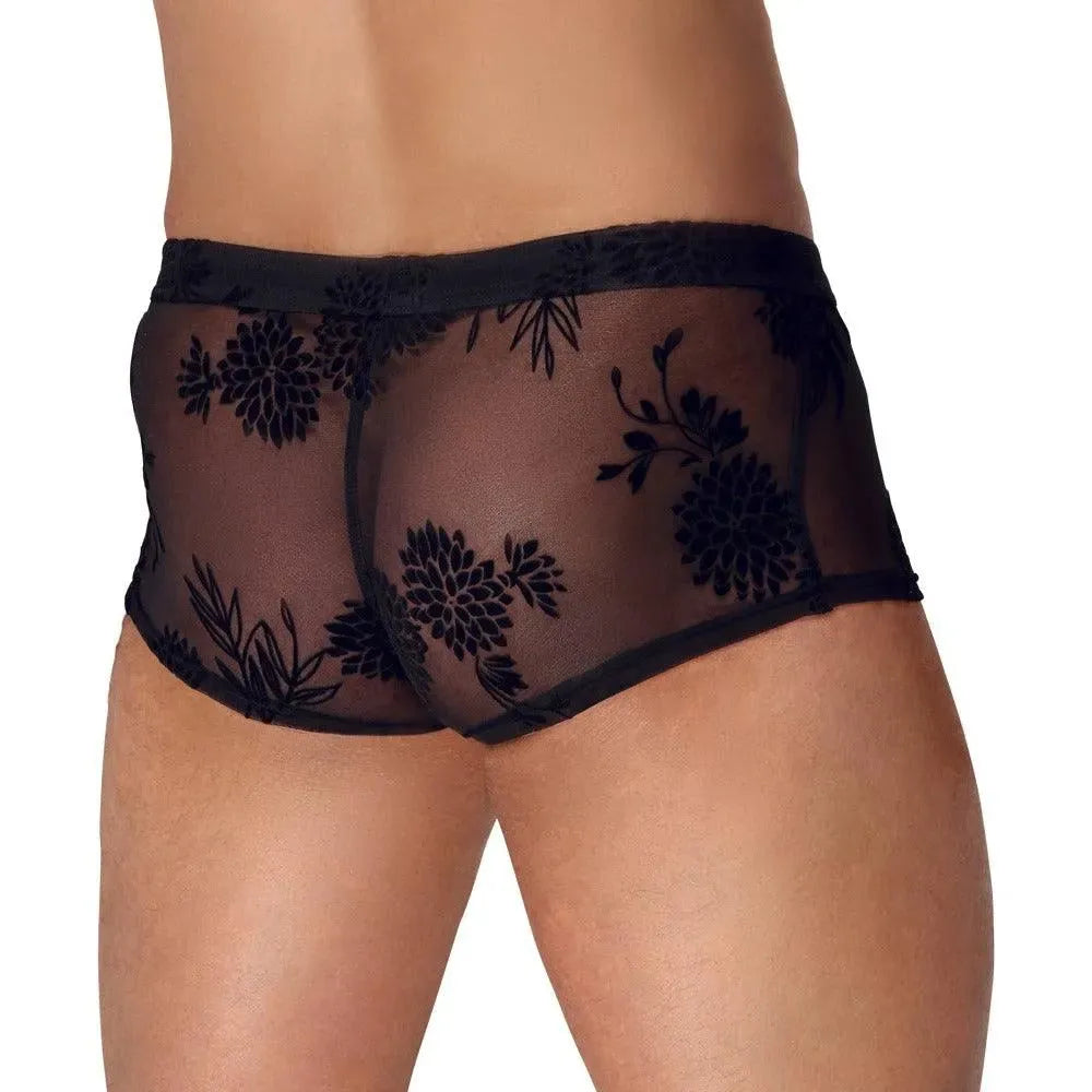 Noir Sheer Floral Lace Pants - Rapture Works
