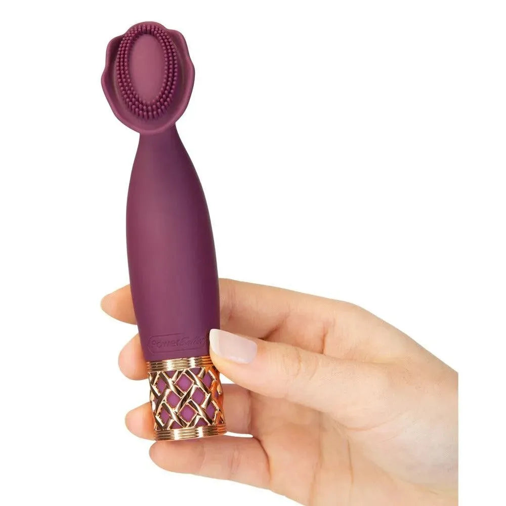 Pillow Talk Secrets Passion Mini Massager - Rapture Works