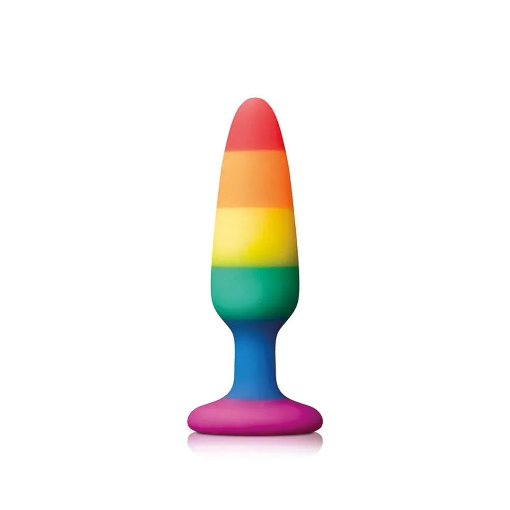 Pride Pleasure Plug Rainbow Small - Rapture Works
