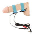 ELECTRO PLAY E-STIM FLEXIBLE PENIS STRAPS