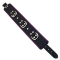 LEATHER 3 D-RING PADDED COLLAR – BLACK & PURPLE