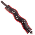 LEATHER PADDED POSTURE COLLAR – BLACK & RED