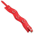 LEATHER PADDED POSTURE COLLAR – RED