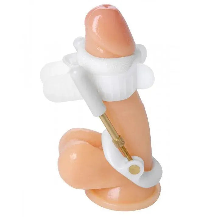 Size Matters Deluxe Penile Aid System - Rapture Works