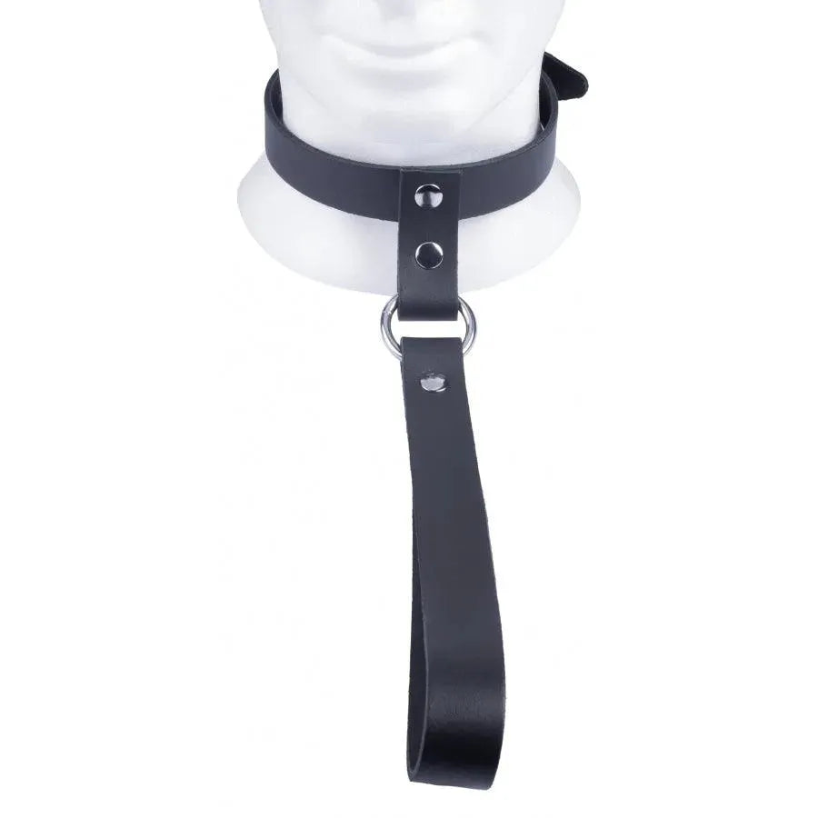The Red Leather Collar with Short Leash - Rapture Works